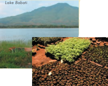 lake babati and tree nursery